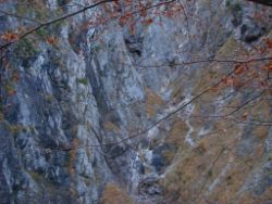 2013-10-26_Schildenstein (108).JPG